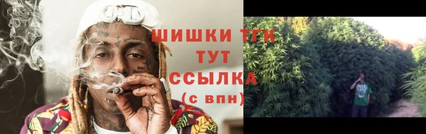 крисы Михайловск