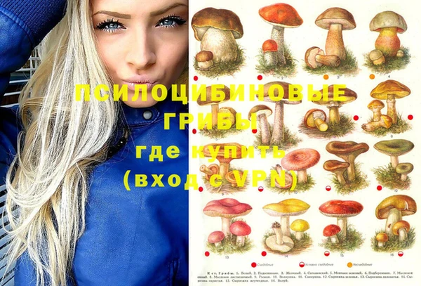 крисы Михайловск