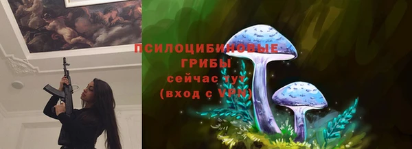 крисы Михайловск